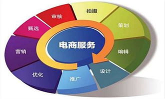 单招电子商务专业就业