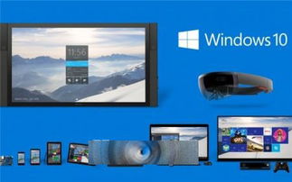 电子商务专业mac和windows