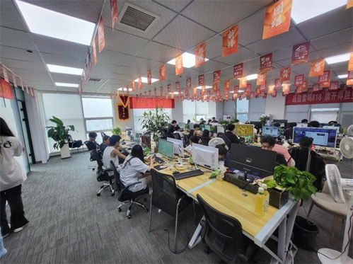 专业做电子商务的公司