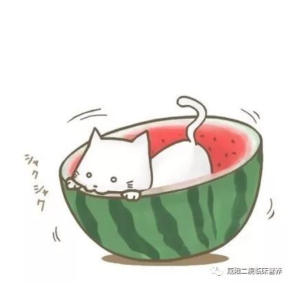 西瓜，这么会吃，难道是我事先商量好的吗？