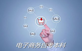 本科专业有电子商务吗