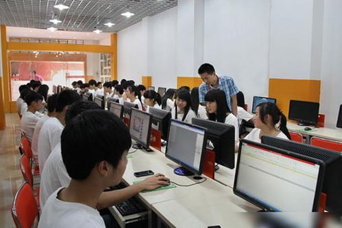 为什么别报电子商务专业