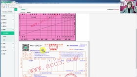 会计专业算电子商务吗