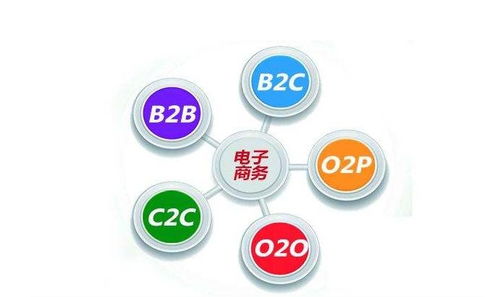 电子商务专业能读博吗吗
