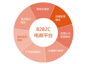 谈谈电子商务专业发展趋势
