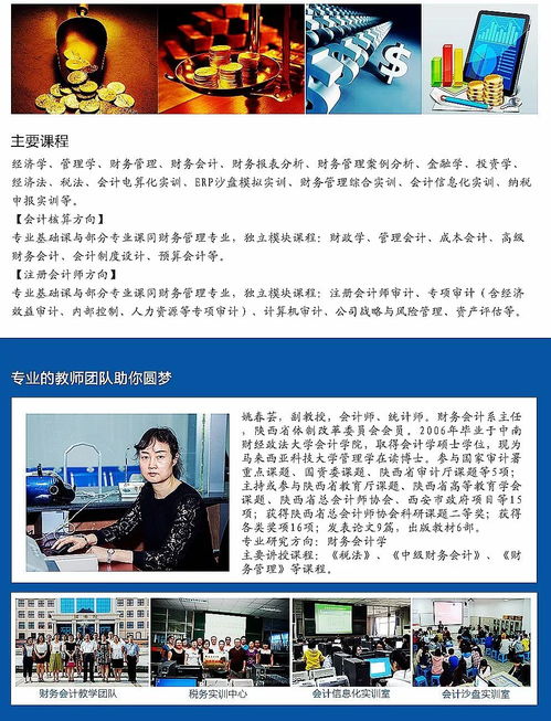 电子商务专业可以去审计嘛